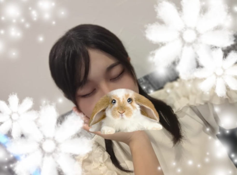 おしごと‼️