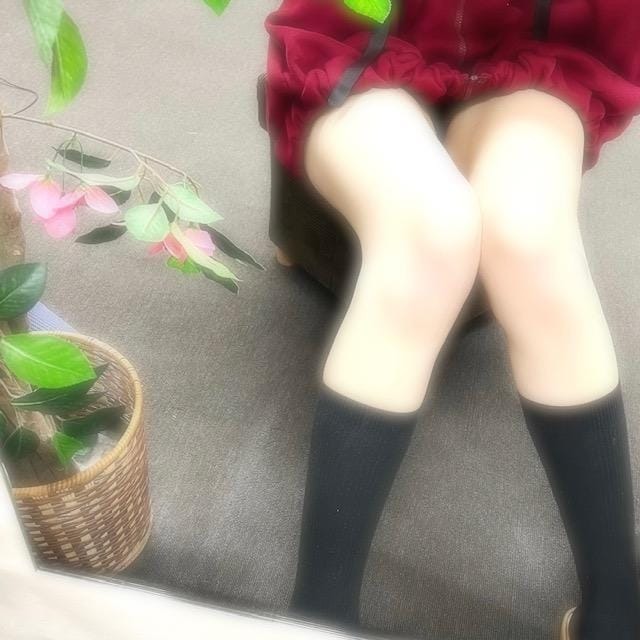 NO.25 森ですฅ•ω•ฅ