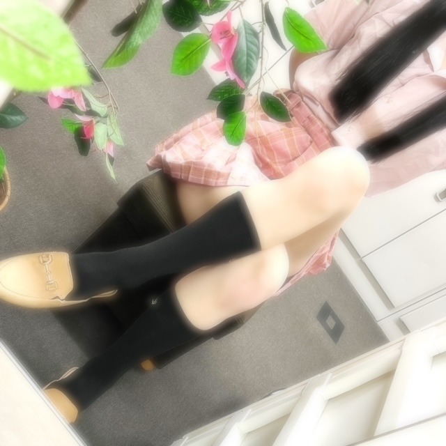 NO.25 森ですฅ•ω•ฅ