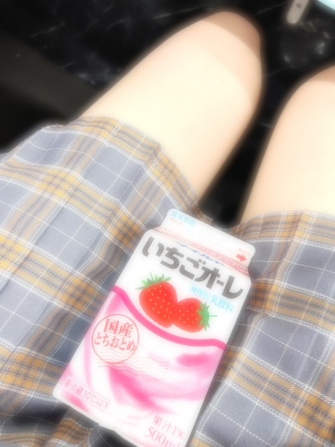 NO.25 森ですฅ•ω•ฅ