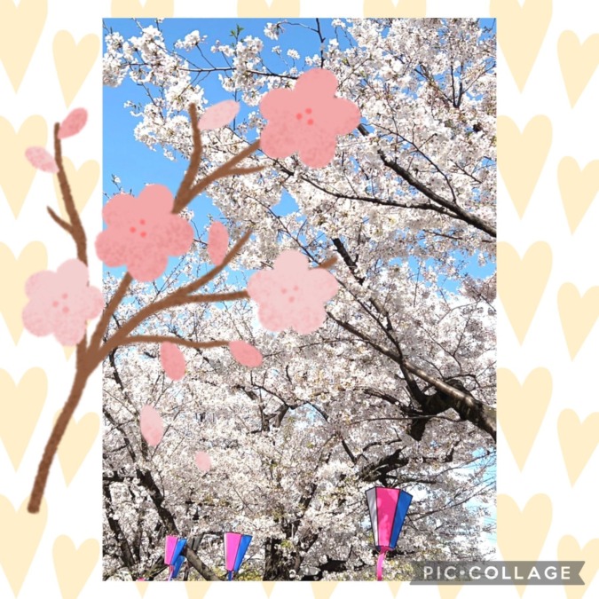 こんにちは！藤岡です！