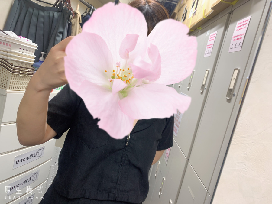 出勤しました♪
