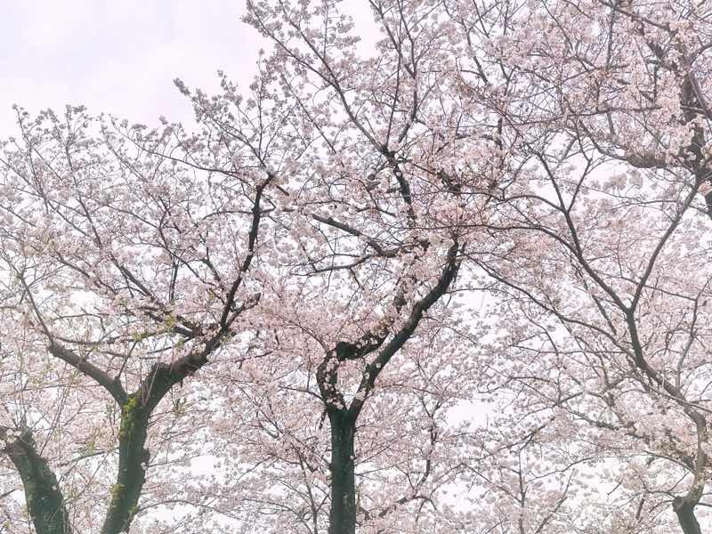 明日出勤します❣️
