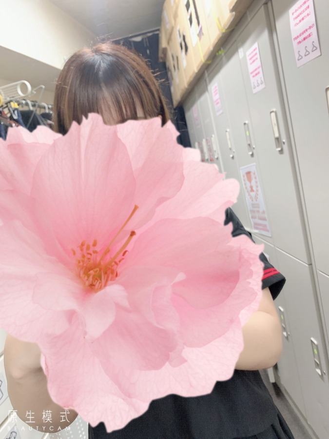 出勤しました♪