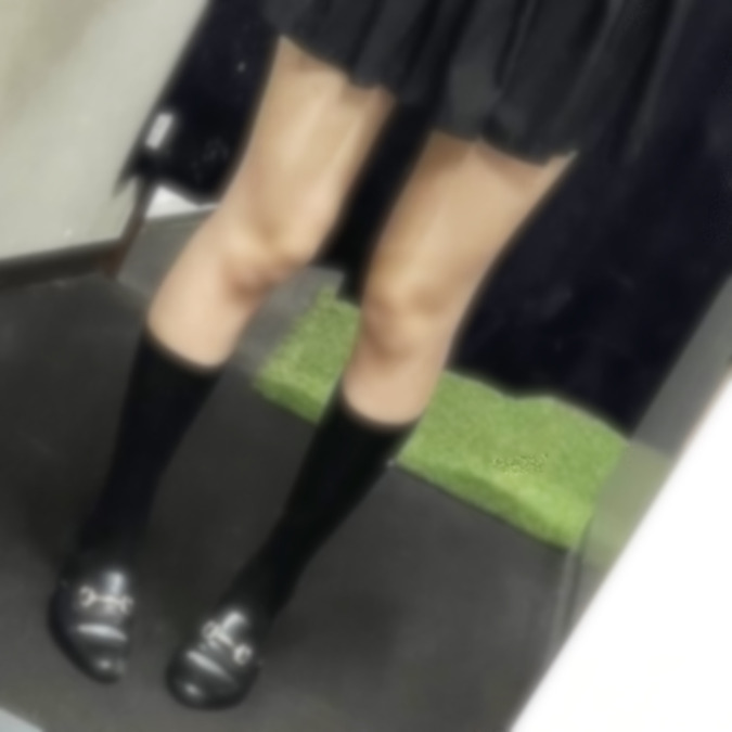 NO.25 森ですฅ^•ω•^ฅ