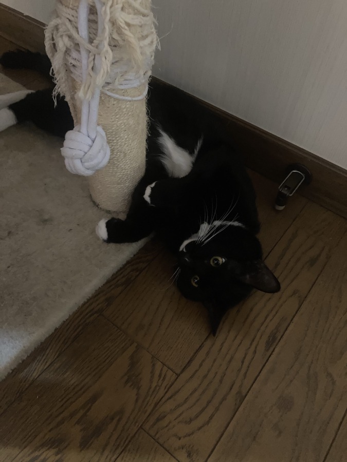 明日からまた…
