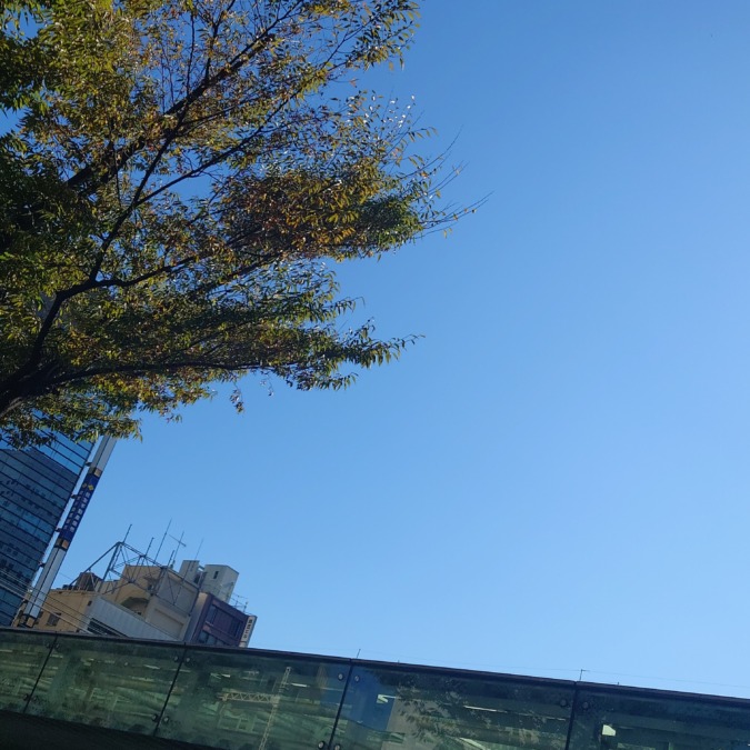 こんにちは！