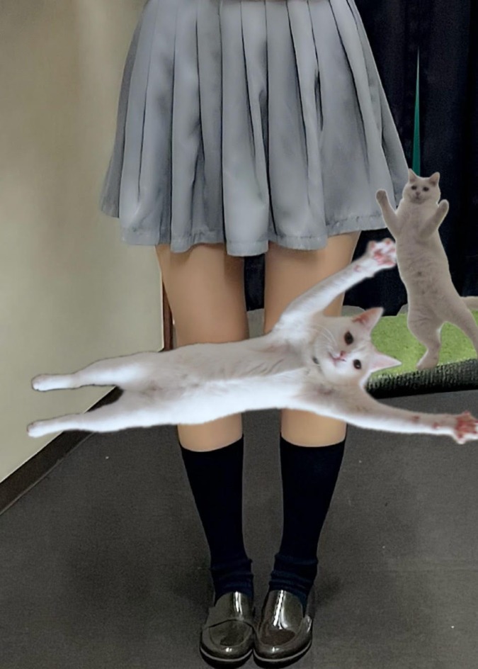 NO.25 森ですฅ^•ω•^ฅ