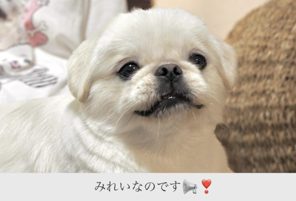 はじめまして♡