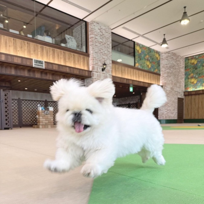 向かってるよ♡