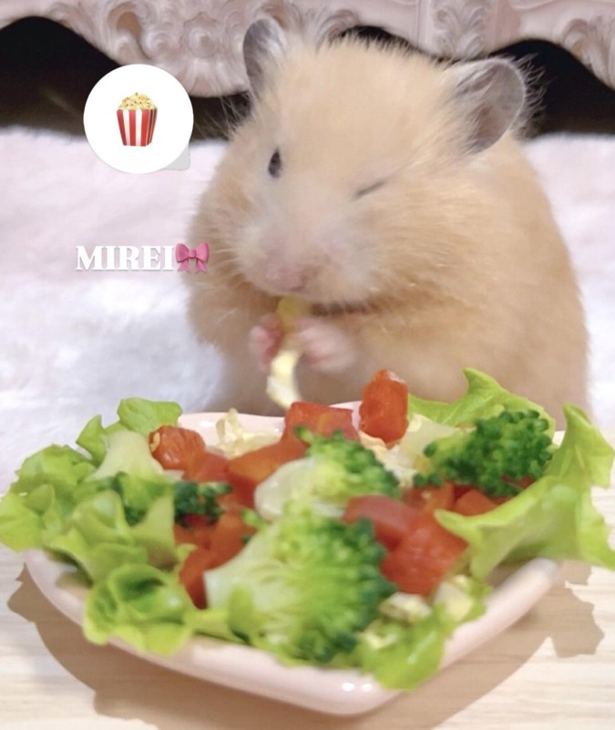 明日おやすみだよ