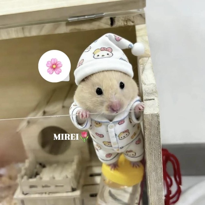 いるよ
