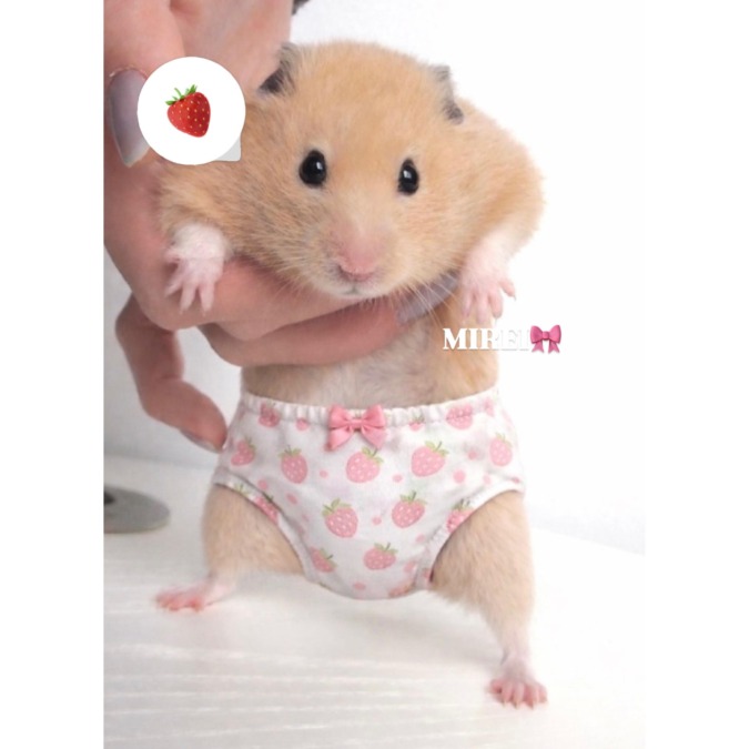 来週のスケジュール♡