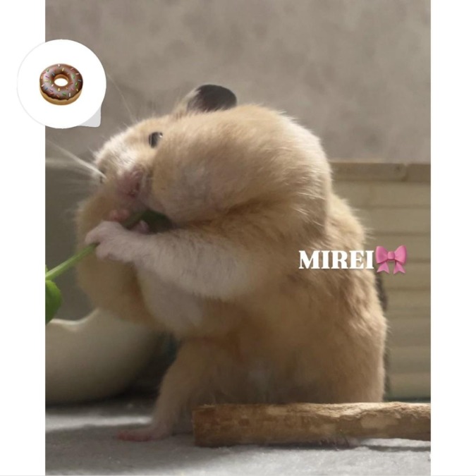 いるよ〜♡
