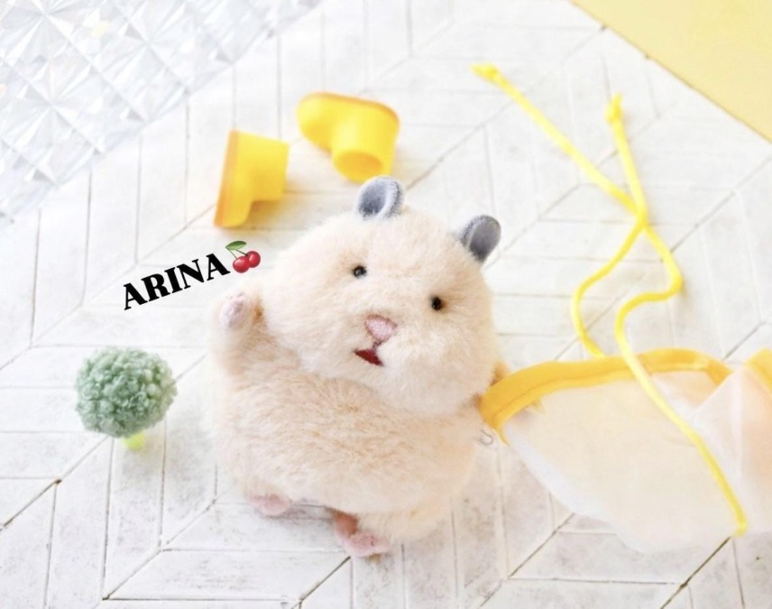 こんにちわ
