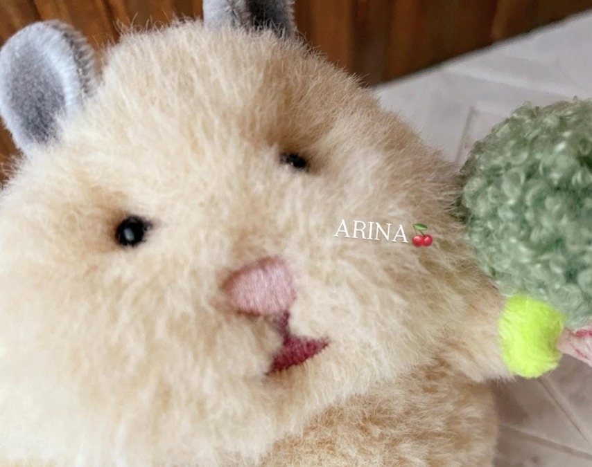 こんにちわ