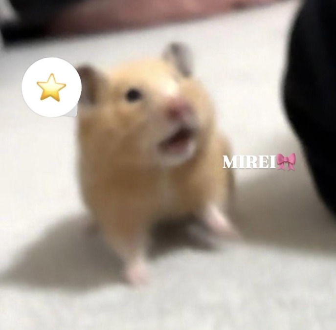 明日います♡