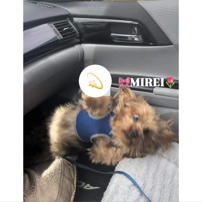 いるよ〜次は7日♡