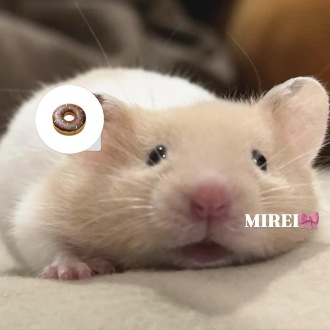 いるよ♡