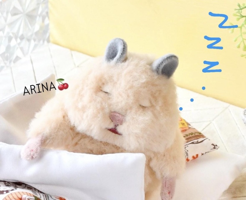 こんにちわ