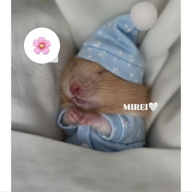 お礼と次回♡