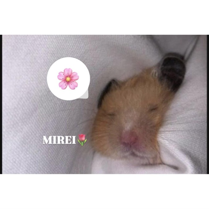 4月最後♡