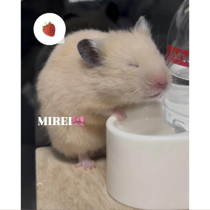 います♡