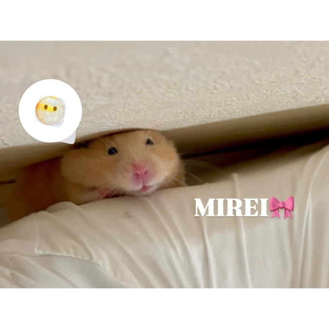 今日の空き♡