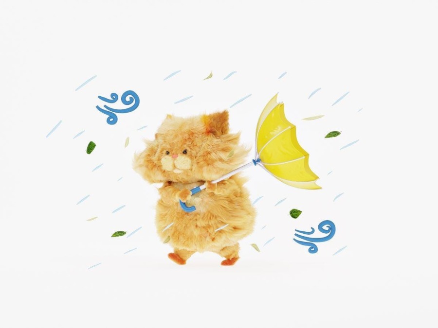 こんにちわ