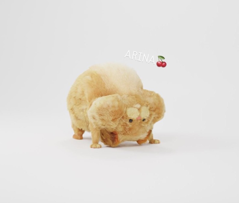 こんにちわ