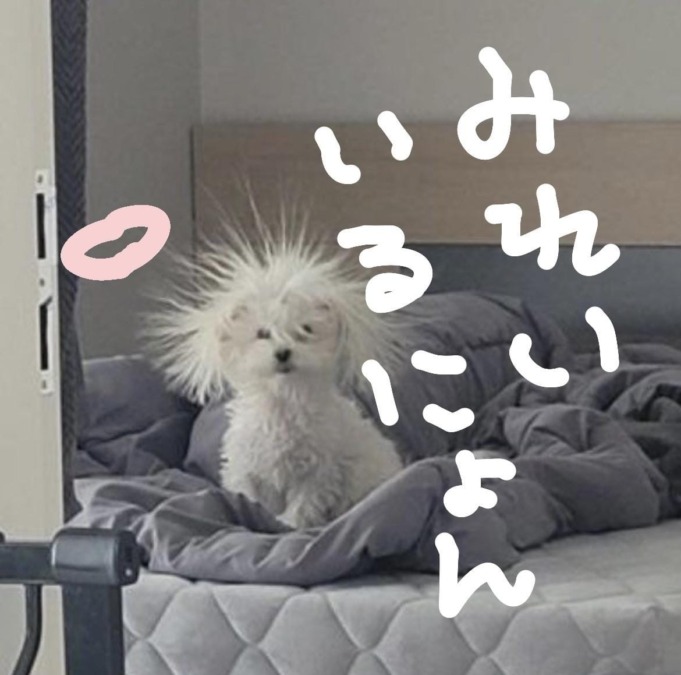 明日はおやすみ