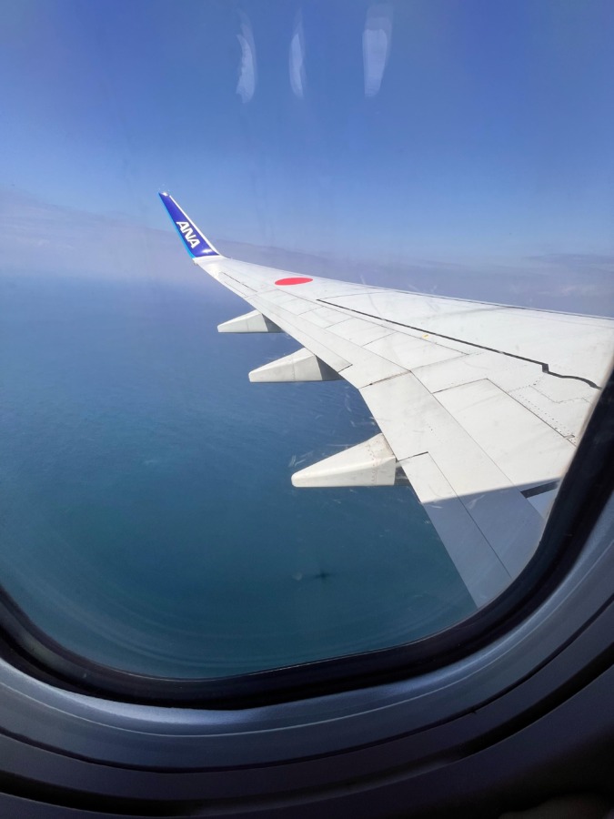 おはようございます❤️