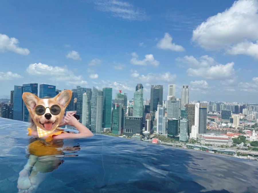 こんにちは( ᷇࿀ ᷆ )くみです❣️