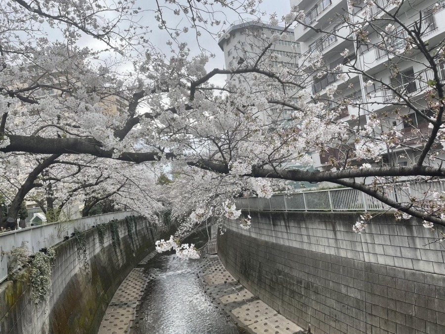 ひさびさじゃん
