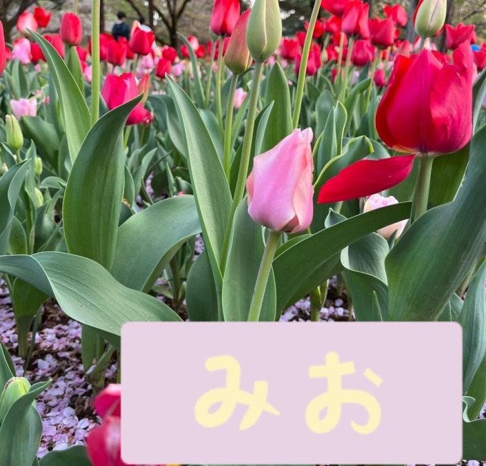 おはようございます