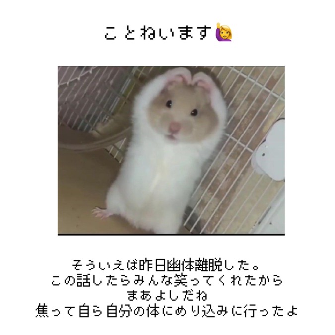 さびひい｡ﾟ(ﾟ´ω`ﾟ)ﾟ｡