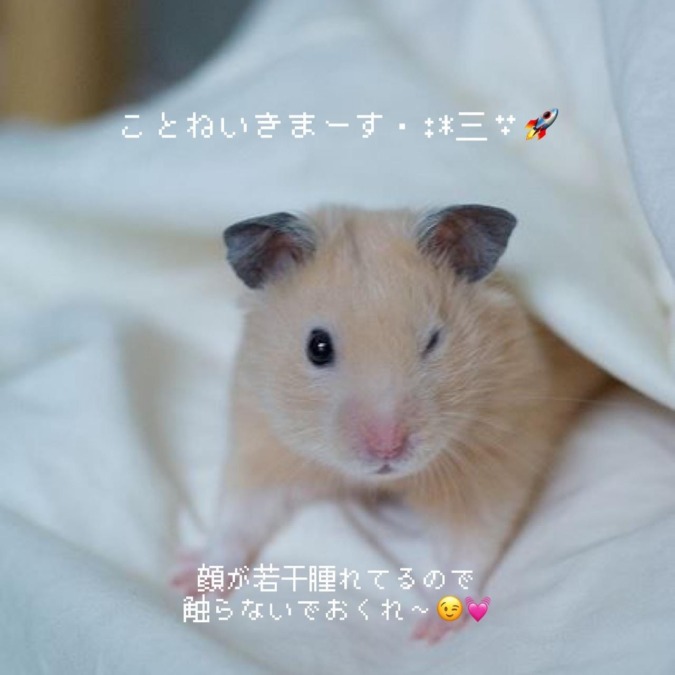 お隣さんがうるさいんですよね、困ってます。