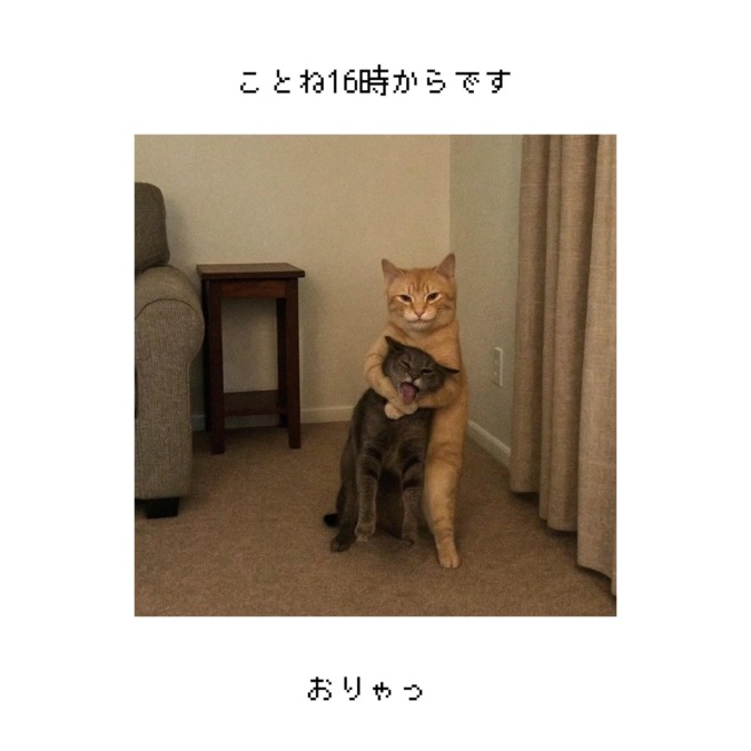 夜まで待ってます( ◜ ࿀ ◝ )