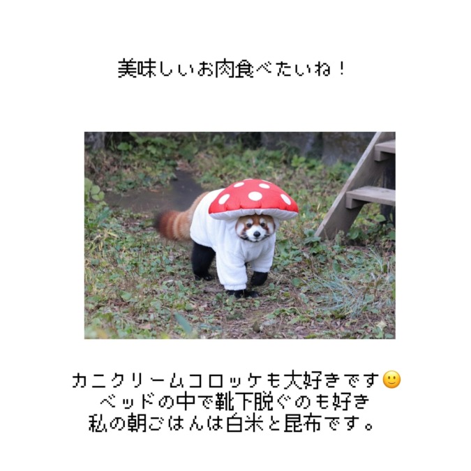 まってるにゃーーーーん₍ᵔ· ̫·ᵔ₎