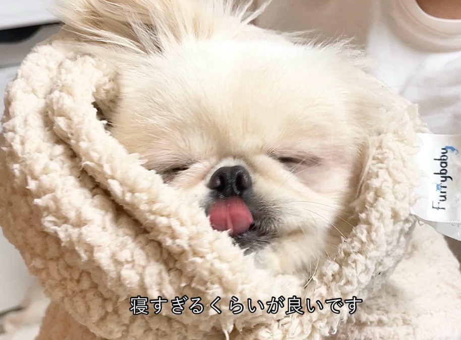 16:00からいるよ♡