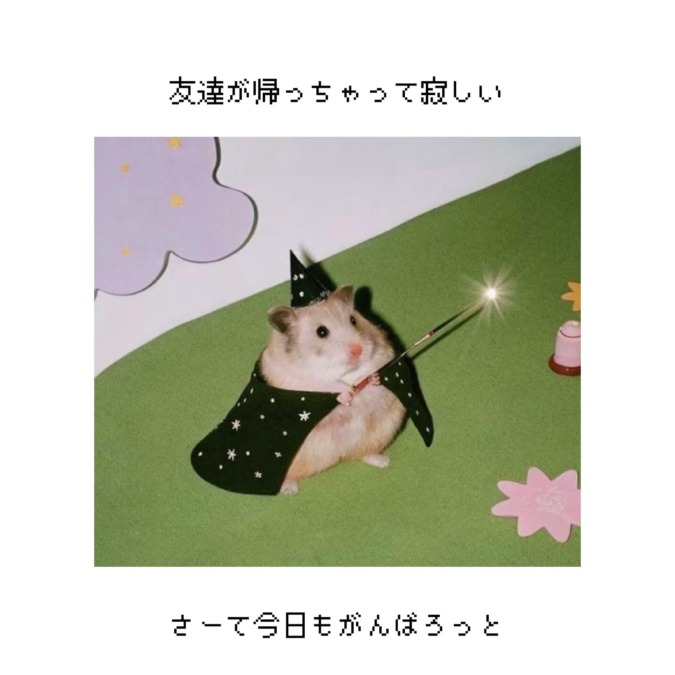 焼き鳥食べたよ