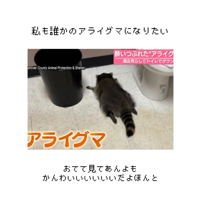 目が悪くなりました