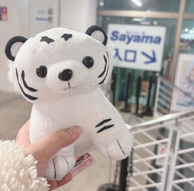 いぇーい!