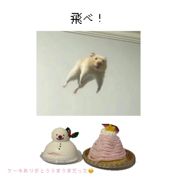 今日と明日で終わりです₍ᵔ· ̫·ᵔ₎