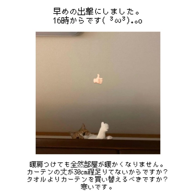 タオル買い替えました