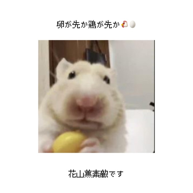 今日は坂本龍一のTシャツ着てます₍ᵔ· ̫·ᵔ₎