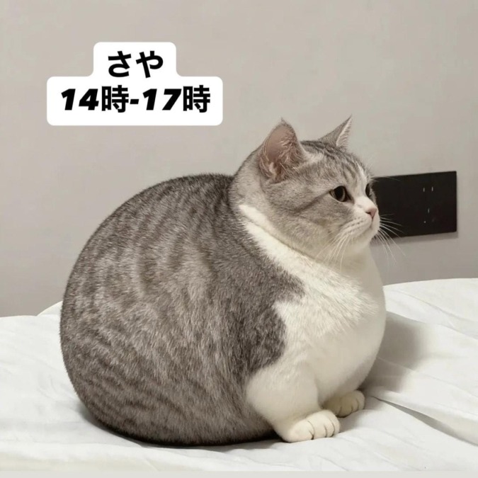 にーぜろにーろく