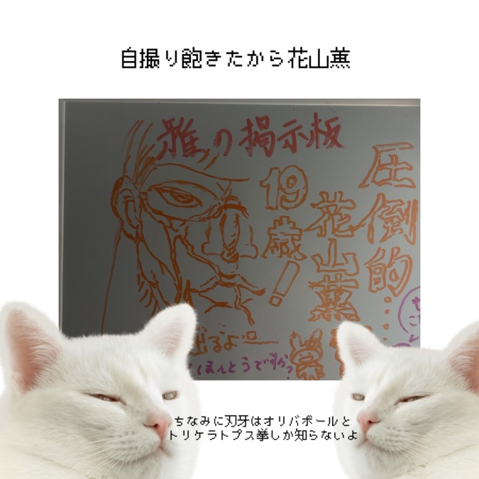 新しい衣装届いたから見に来てちょ