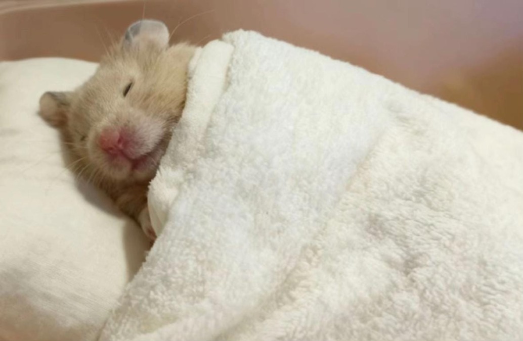 すみません休みます