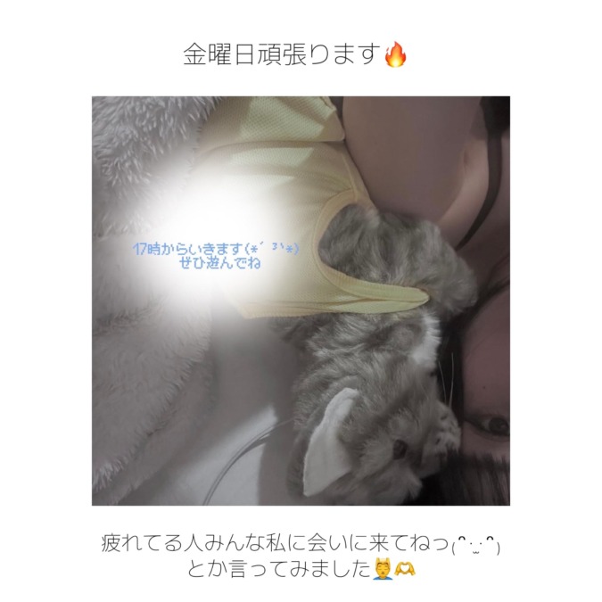 ちょこんと。いる。17時から